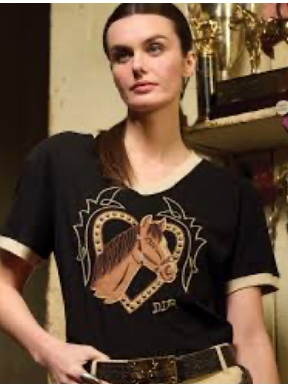 Double D Ranch Saratoga Top
Embroidery Horse Graphic
Horseshoe & Wings Size XL